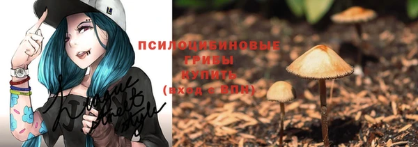 spice Осинники