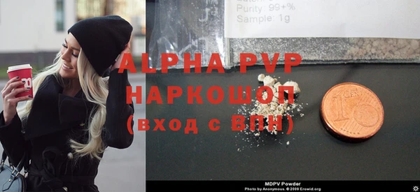 ПСИЛОЦИБИНОВЫЕ ГРИБЫ Няндома