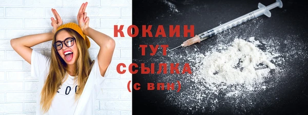 spice Осинники