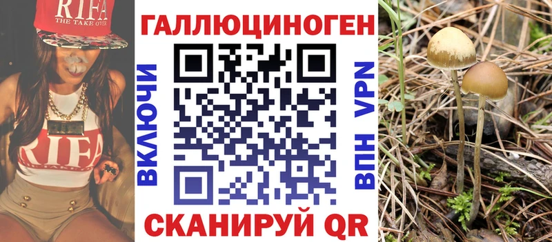Галлюциногенные грибы Psilocybe  Артём 